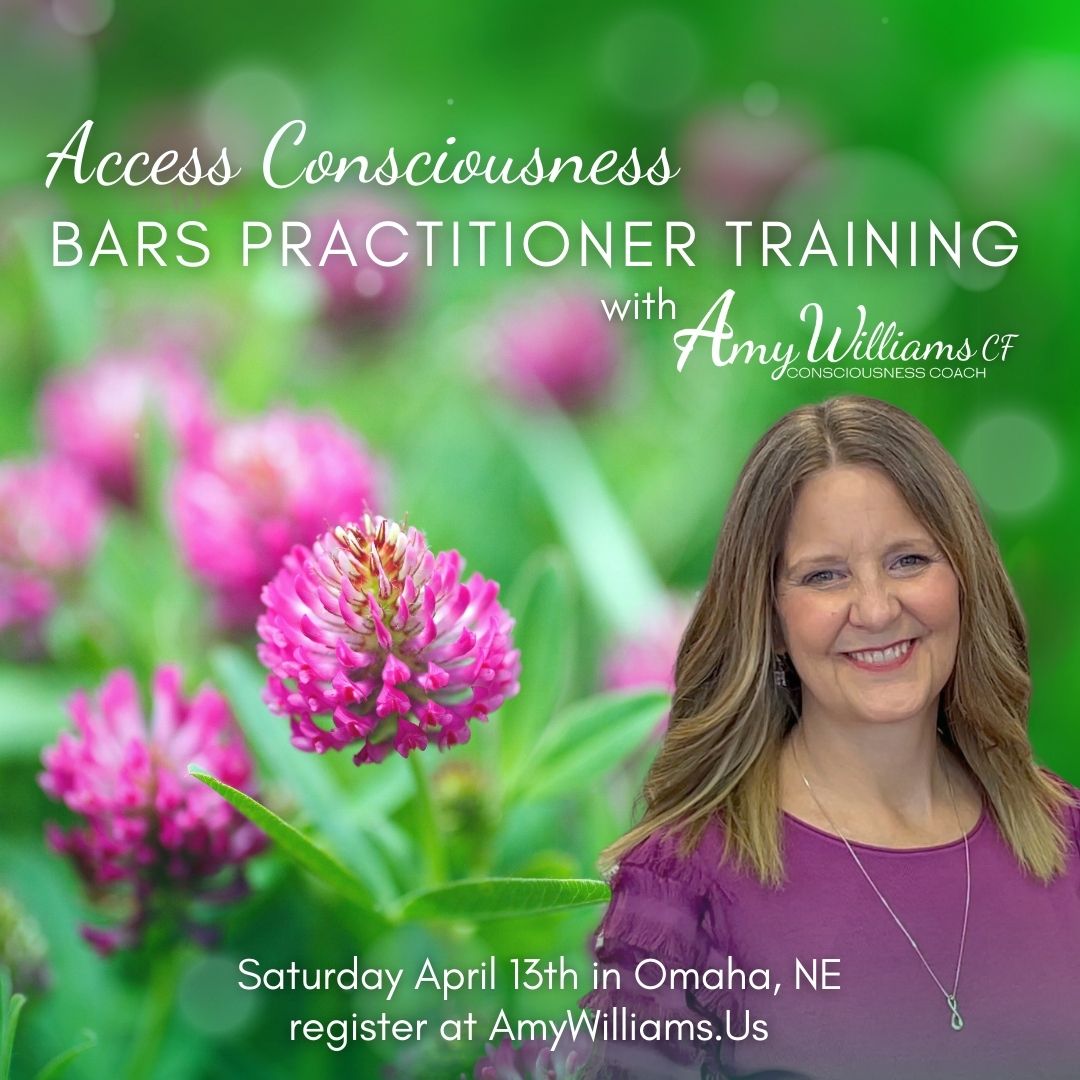 4-13-2024 Access Consciousness® The Bars | Omaha, NE - Amy Williams |  Lincoln, NEBRASKA